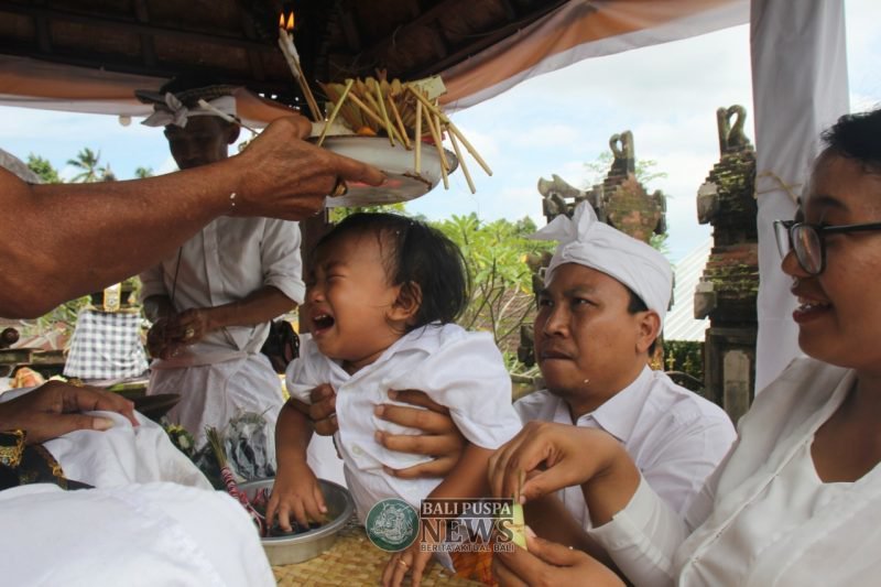 Tradisi Potong  Rambut  bagi Anak  di  Bali  Balipuspanews com