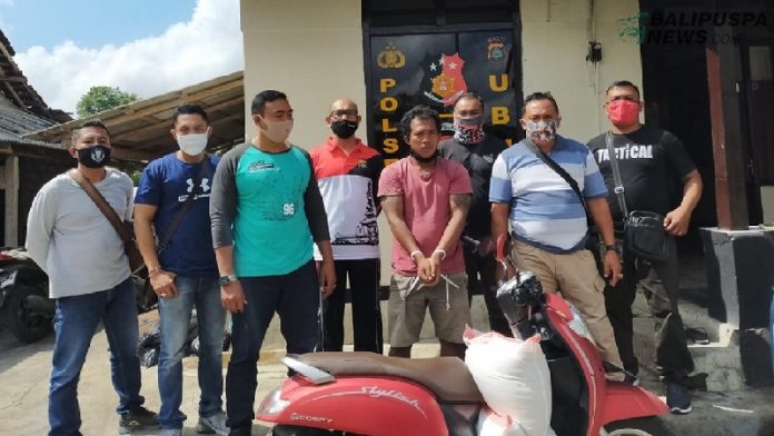 Pelaku I Wayan Sukadana (26) alias Minjik ketika ditangkap oleh Unit Reskrim Polsek Ubud.
