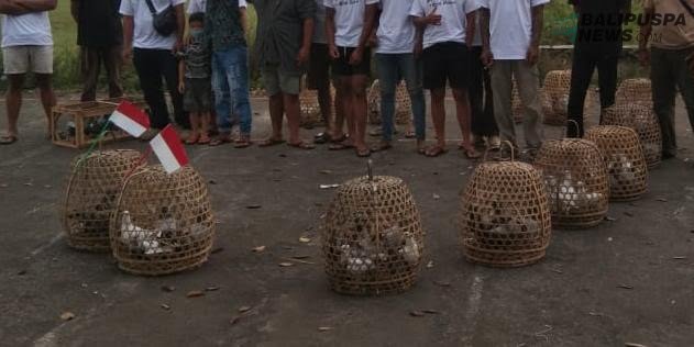 Ratusan merpati dilepas di kecamatan Selat untuk meriahkan HUT RI ke -75