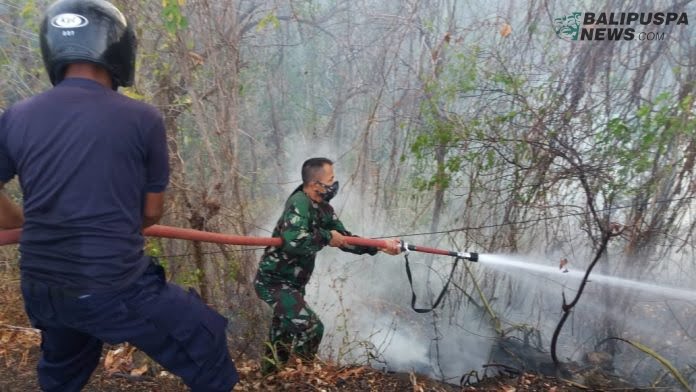 Pemadaman api yang melalap hutan jati yang asa dilingkungan Pura Tengah, Dusun Munduk, Desa Banjar, Kecamatan Banjar, Jumat (9/10/2020)