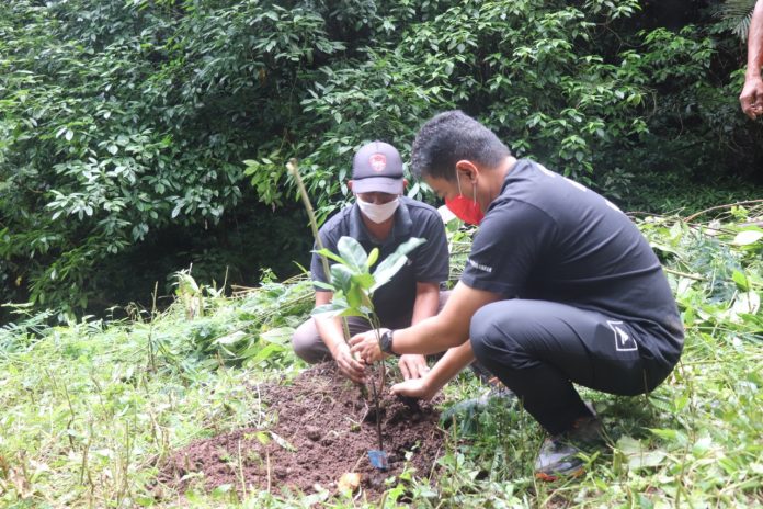 Kegiatan penanaman pohon yang dilakukan di Hutan Desa Selat, Kecamatan Sukasada, Buleleng