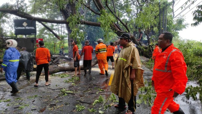 Tim BPBD Kabupaten Buleleng saat melakukan pembersihan material pohon tumbang di Desa Kalianget, Kecamatan Seririt