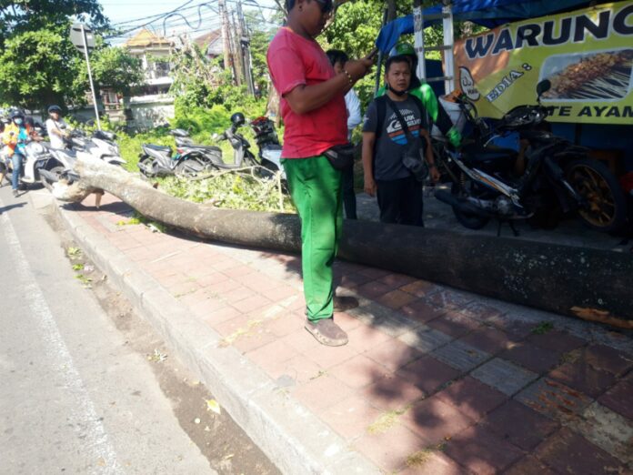 Pohon tumbang di Jalan Gunung Soputan, Denpasar Barat, pada Selasa (5/7/2022)