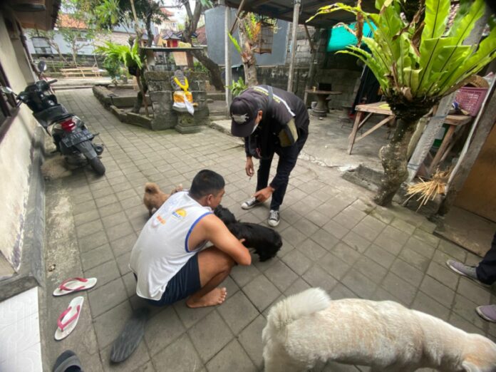 Distan Denpasar dan Kelurahan Padangsambian melakukan vaksinasi rabies kepada anjing peliharaan milik warga