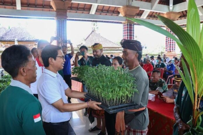 Sekda Wayan Adi Arnawa saat acara penanaman bibit kelapa dan menyerahkan bibit cabai di Lahan Ketahanan Pangan Desa Sibang Gede, Kecamatan Abiansemal Badung, Jumat (2/12/2022)