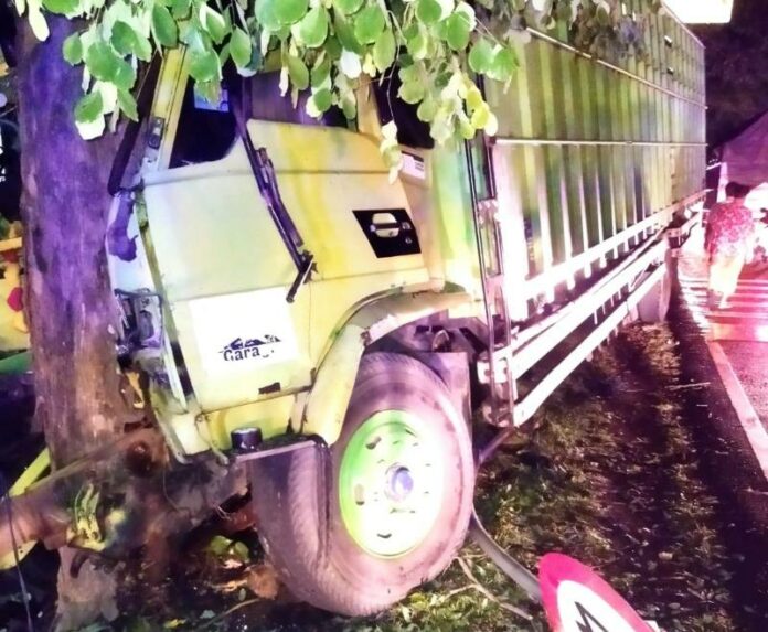 Truk menabrak pohon perindang jalan raya jurusan Denpasar-Gilimanuk