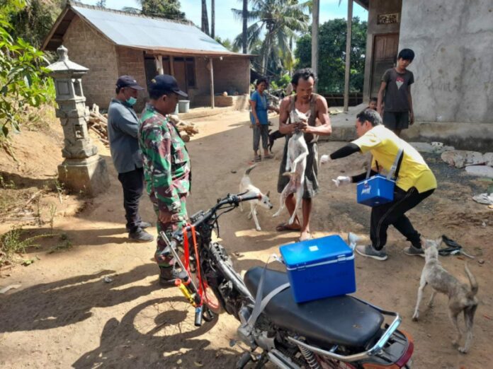 Petugas Dinas Pertanian Pangan dan Perikanan Karangasem saat melakukan vaksinasi anjing