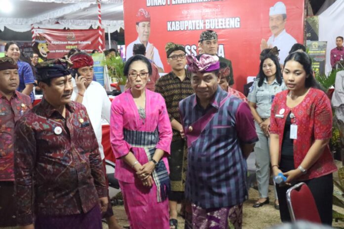 PJ Bupati Buleleng Ketut Lihadnyana saat melihat-lihat langsung stand dalam miniatur Mall Pelayanan Publik di Acara BDF
