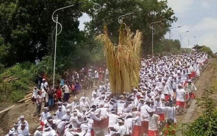 Ribuan krama ikuti tradisi Ngusabha Bukakak, di Desa Pakraman Sangsit Dangin Yeh, Desa Giri Emas, Kecamatan Sawan, Kabupaten Buleleng