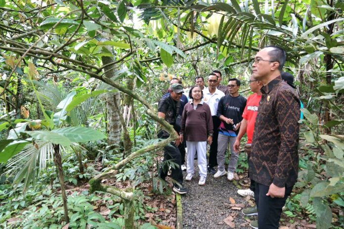 Sekda Surya Suamba mengunjungi tempat rencana pembangunan Museum Yadnya di Taman Ayun, Mengwi serta mengecek Destinasi Wisata yang ada di Desa Sulangai, Petang, Badung, Jumat (7/3/2025)