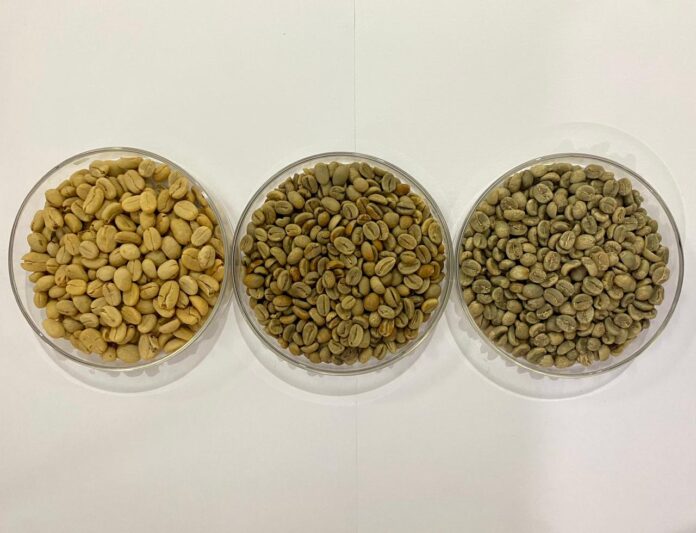 Program Hilirisasi Riset dan Inovasi Teknologi Pengolahan Kopi Arabika