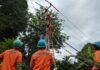 Jaga Pasokan Listrik Jelang Nataru, PLN Perkuat Jaringan Listrik Petugas PLN melakukan pekerjaan preventif jaringan listrik untuk menjaga keandalan kelistrikan selama Natal 2025 dan Tahun Baru 2026