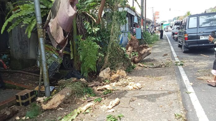 Angin puting beliung menyapu wilayah Karangasem yang menyebabkan pohon tumbang dan atap bangunan berhamburan