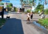 RX King Vs Mio di Simpang 3 Ujung, Dua Korban Dilarikan ke RSUD Karangasem Lokasi Lakalantas di jalan raya Ujung Amlapura-Seraya menyebabkan dua pengendara motor dilarikan ke RS