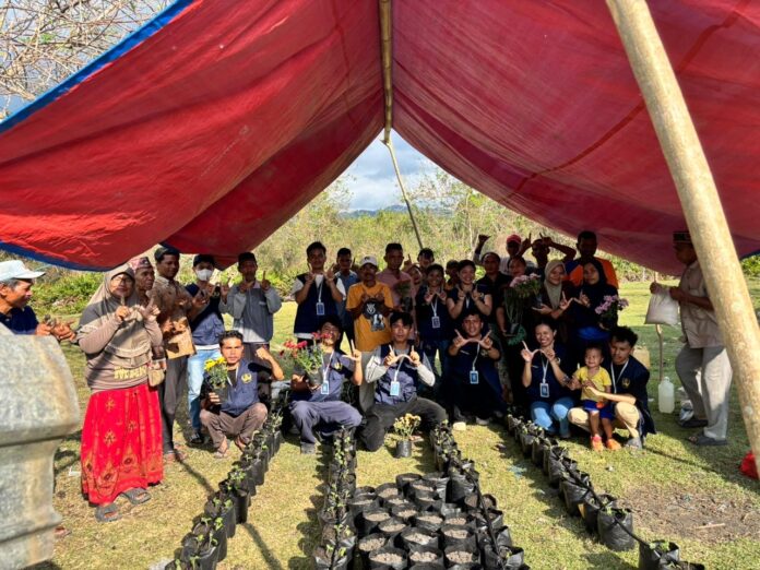 Mahasiswa Unwar Budidayakan Krisan dengan Air Kolam Lele di Pesisir Manggarai Barat